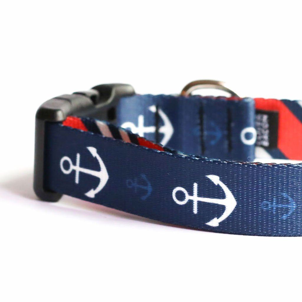 Anchor dog outlet collar