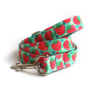 Cute Dog Collars And Leashes