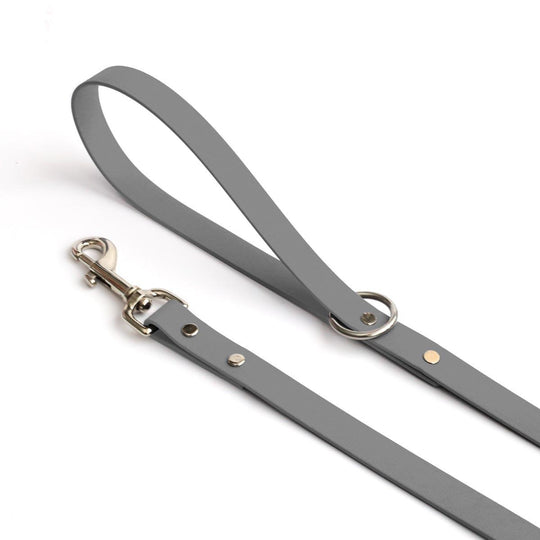 Stone Dog Leash – Clive and Bacon