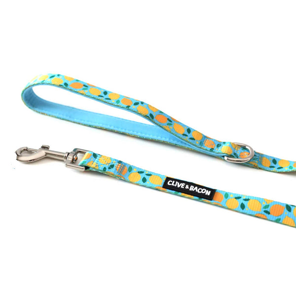 Clive & Bacon, Dog Collars and Leashes